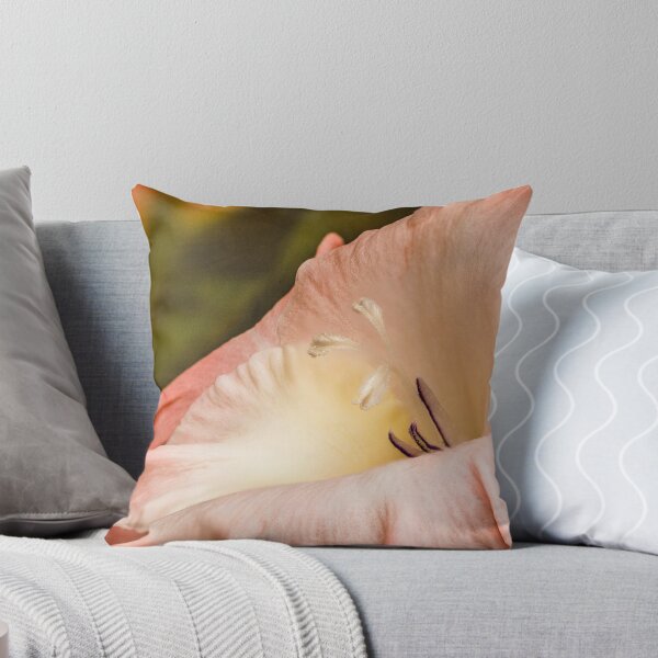 Item preview, Gladiolus designed and sold by Jim Key.