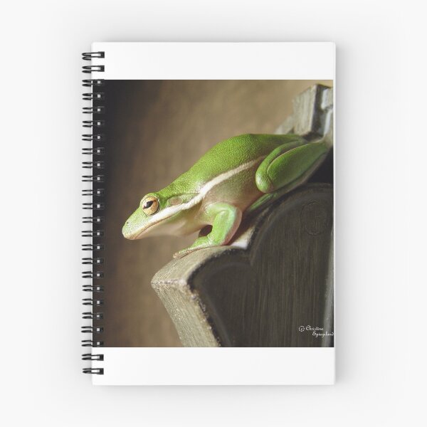 Item preview, Florida Green Tree Frog designed and sold by TranquilArt.