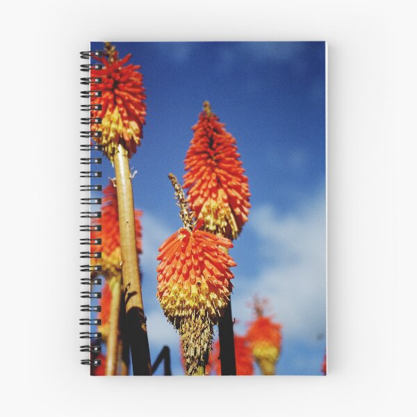 Item preview, Red Hot Pokers designed and sold by ardwork.