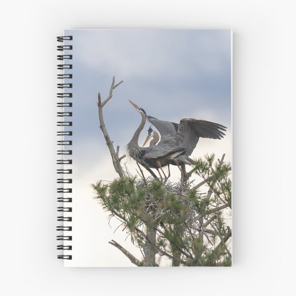 Item preview, A Bonded Pair Of Great Blue Herons 2019-1 designed and sold by Thomasyoung.