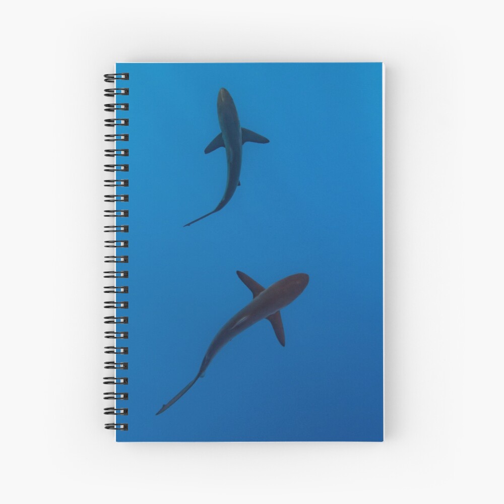 Sharks Spiral Notebook