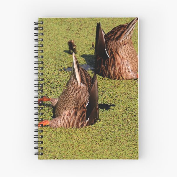 Item preview, Bottoms Up designed and sold by Larry Trupp.