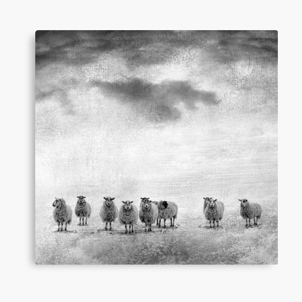 woollen Canvas Print