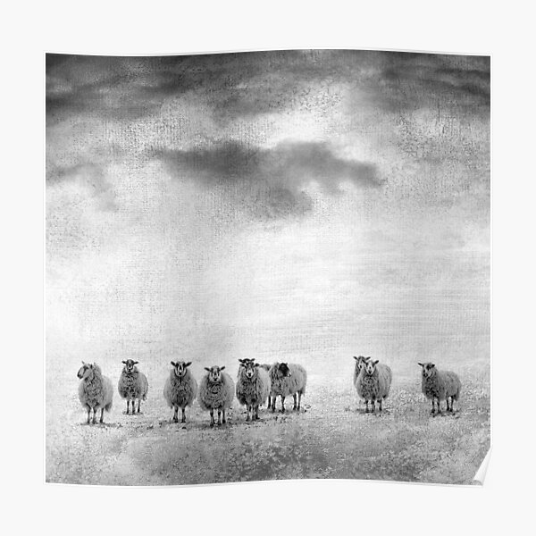 woollen Poster