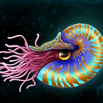 Nautilus Sticker For Sale By Devineart Redbubble