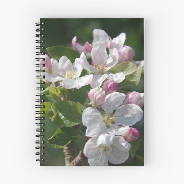 Item preview, Apple Blossom designed and sold by lezvee.