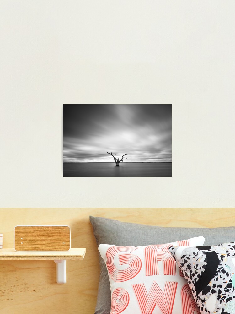 Thumbnail 2 of 3, Photographic Print, Lone Tree designed and sold by AdrianAlford.
