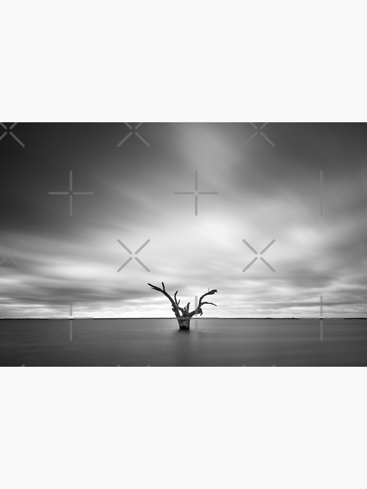 Thumbnail 3 of 3, Photographic Print, Lone Tree designed and sold by AdrianAlford.