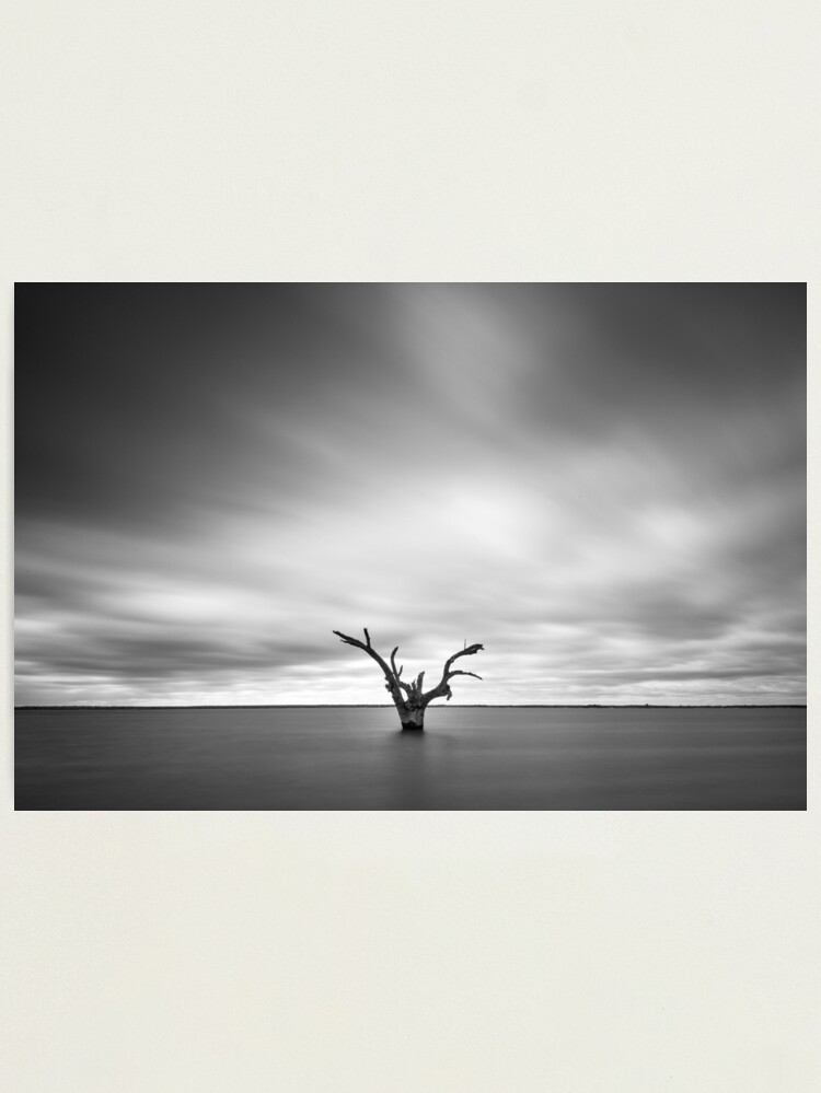 Alternate view of Lone Tree Photographic Print
