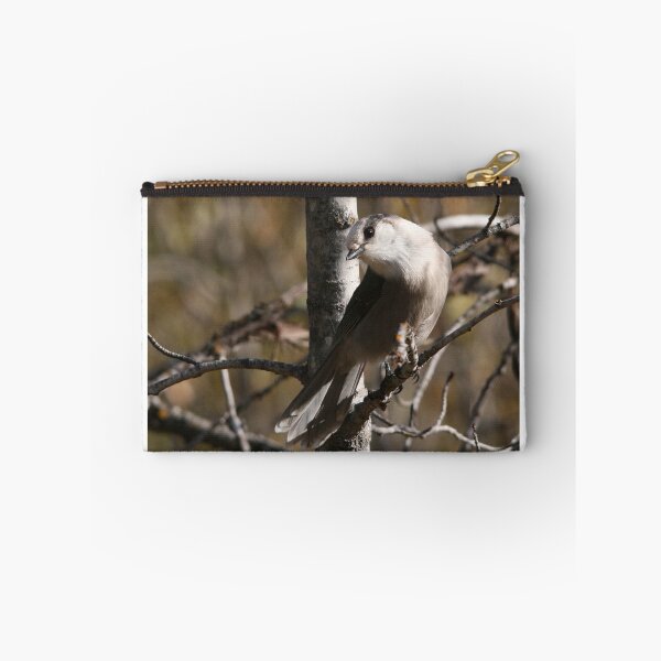 Artikelvorschau, Gray Jay entworfen und verkauft von Larry Trupp.