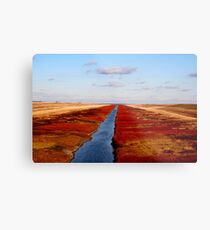 Red River Floodway Metal Print