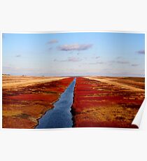 Red River Floodway Poster