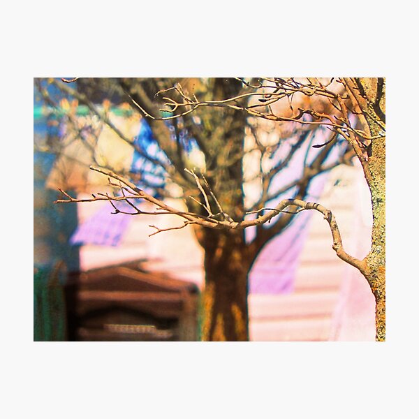 Laundry Day: Clothes on the Line Photographic Print