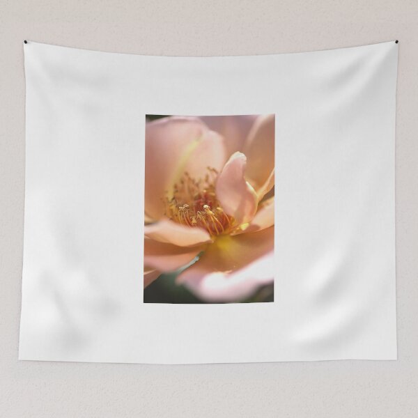 Item preview, Pink with a Golden Touch Rose designed and sold by Joy Watson - Natural Light Photography .