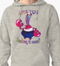 Are you feeling it now Mr Krabs? Pullover Hoodie