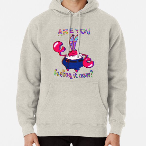 Are you feeling it now Mr Krabs? Pullover Hoodie