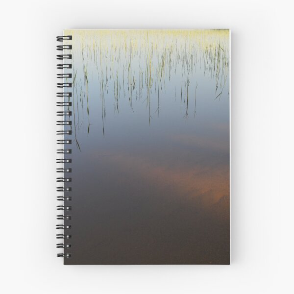 Item preview, Shoreline of the lake in spring a young cane thickets designed and sold by yarvin13.