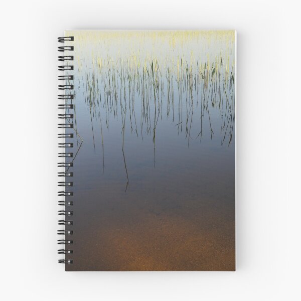 Item preview, Spring young green reeds shoreline at sunset light designed and sold by yarvin13.