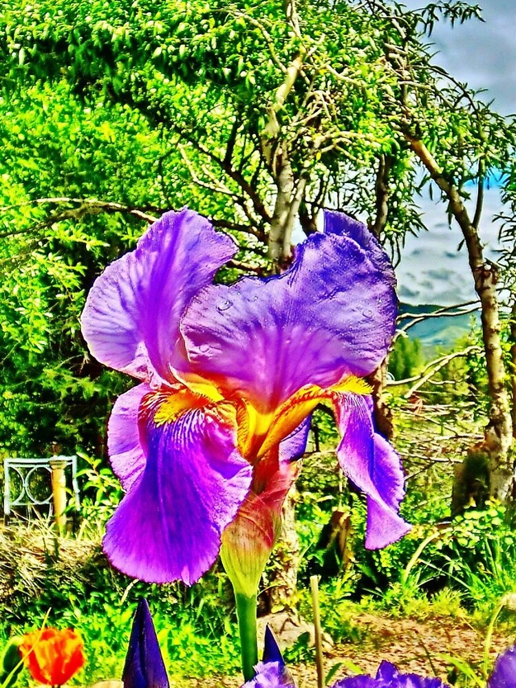 Flight of the Iris Bee, 1 of 4 by 32DARTS