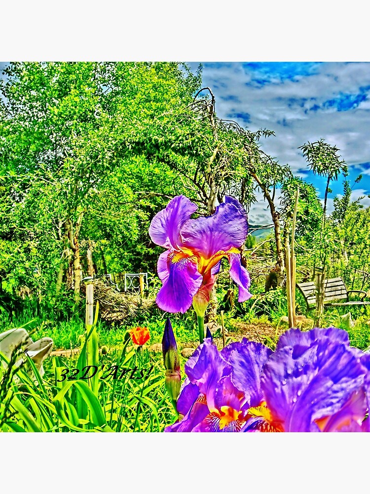 Flight of the Iris Bee, 1 of 4 by 32DARTS