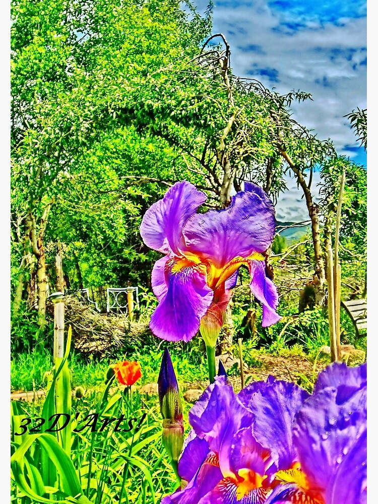 Flight of the Iris Bee, 1 of 4 by 32DARTS