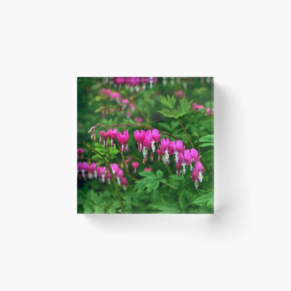Item preview, Bleeding Heart Flowers designed and sold by James DeFazio.