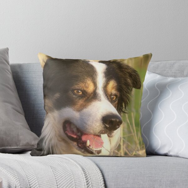 Item preview, My Boy Laddie. designed and sold by Michael Haslam.