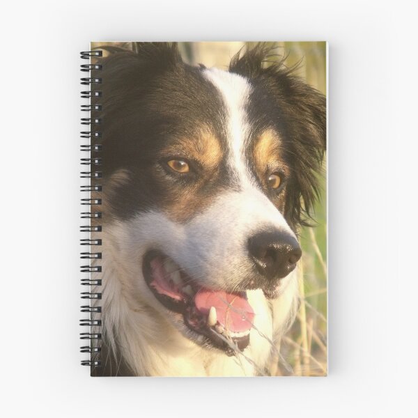 Item preview, My Boy Laddie. designed and sold by Michael Haslam.