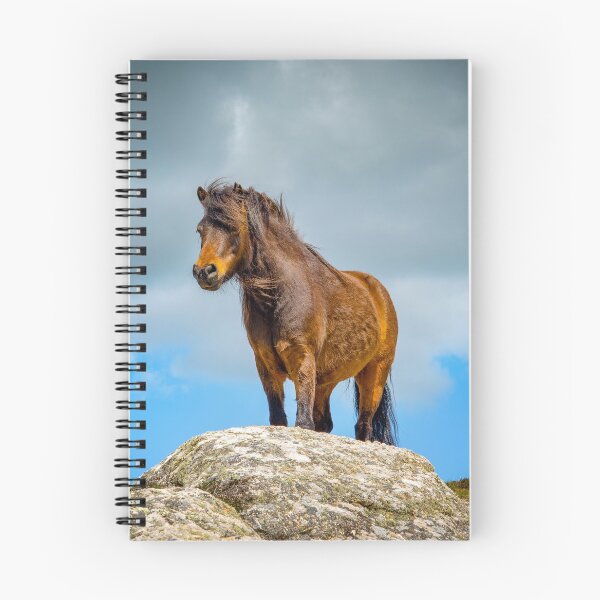 Item preview, wild pony on treen cliffs Cornwall designed and sold by eddiej.