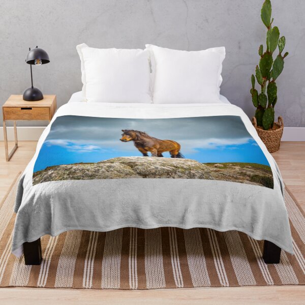 Item preview, wild pony on treen cliffs Cornwall designed and sold by eddiej.