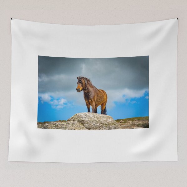 Item preview, wild pony on treen cliffs Cornwall designed and sold by eddiej.