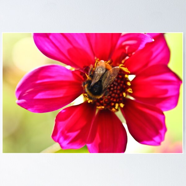 Item preview, Flower designed and sold by pixel-cafe .de.