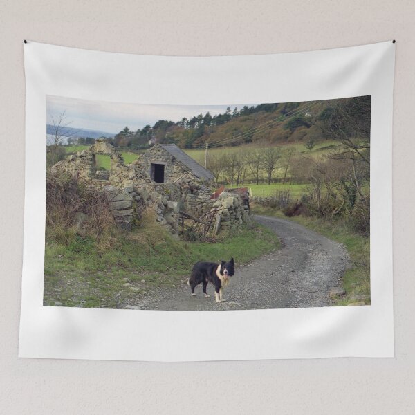Item preview, Indy on route designed and sold by Michael Haslam.