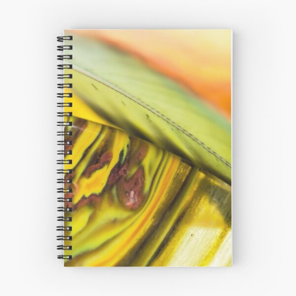 Item preview, Wondrous to Me designed and sold by Kenneth Haley.