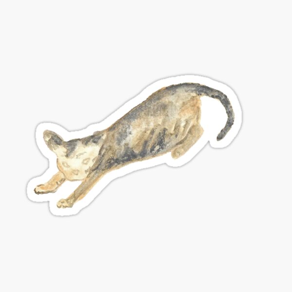 Stretching Cat Sphynx Watercolor Pencils Sticker