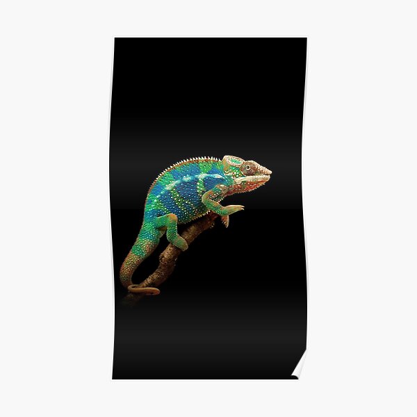 CHAMELEON Poster
