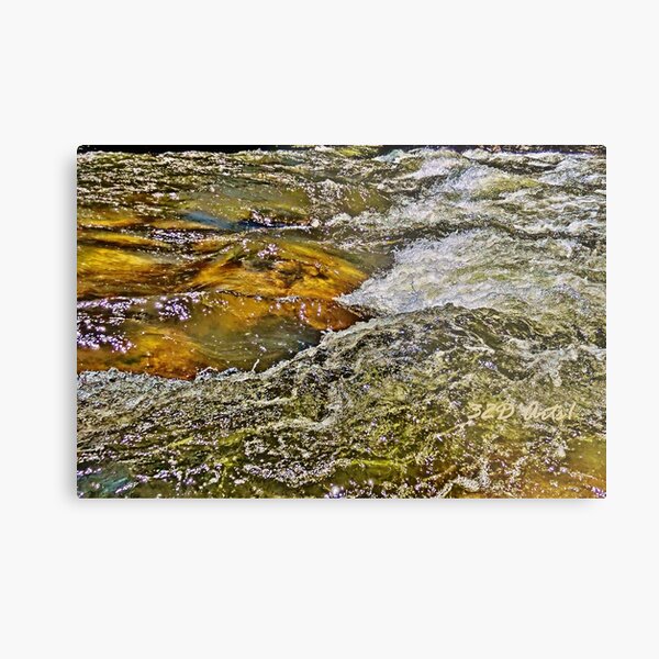 Roaring Fork River, Aspen No. 5 Metal Print