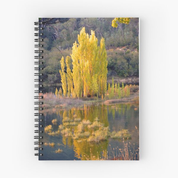 Item preview, Reflections designed and sold by GlenJohnson.