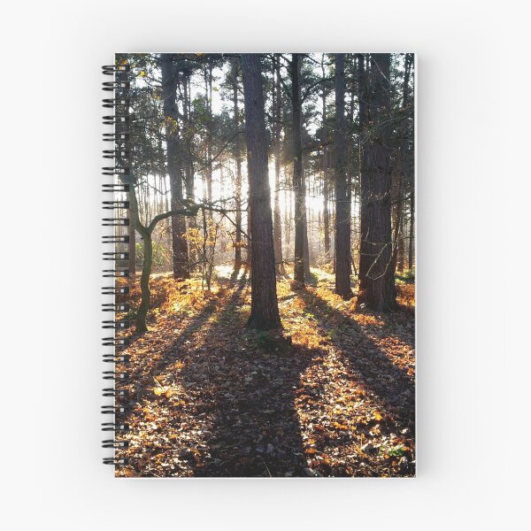 Item preview, Sunlight through the trees designed and sold by Shubie.