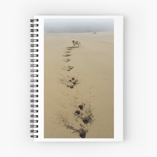 Item preview, Paw Prints in the Sand designed and sold by Shubie.