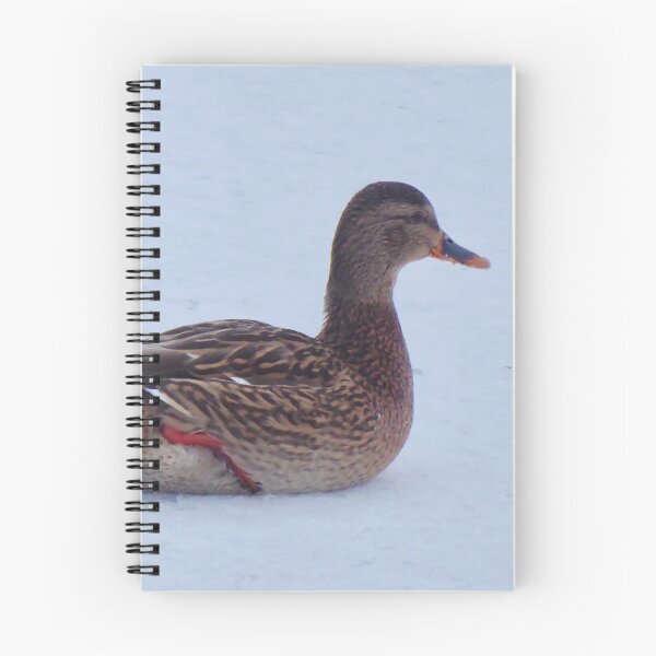 Item preview, Minsk duck designed and sold by Art by Margaret.