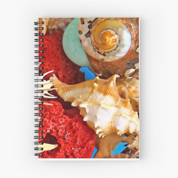 Item preview, SeaShells... designed and sold by Tereza Pilar  Art.