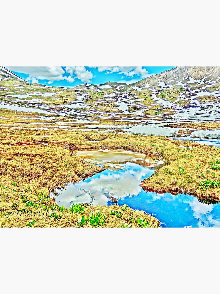 Roaring Fork River, Headwaters No.7 by 32DARTS