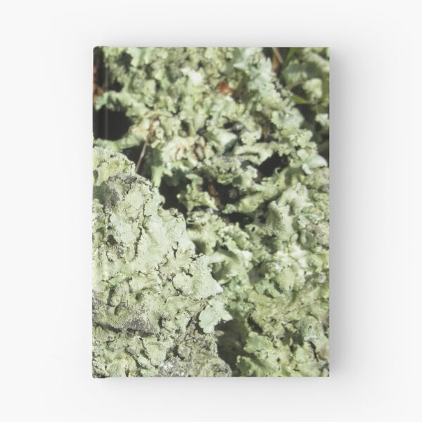 Item preview, Lichen On A Wall designed and sold by lezvee.