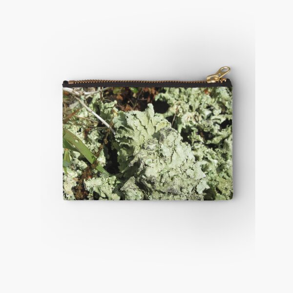 Item preview, Lichen On A Wall designed and sold by lezvee.
