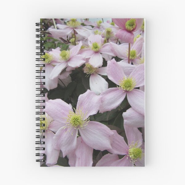 Item preview, Clematis Montana Pink Perfection designed and sold by lezvee.