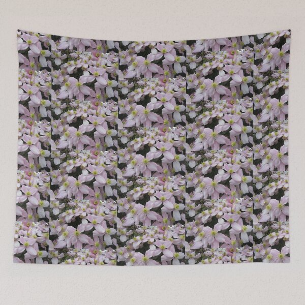 Item preview, Clematis Montana Pink Perfection designed and sold by lezvee.