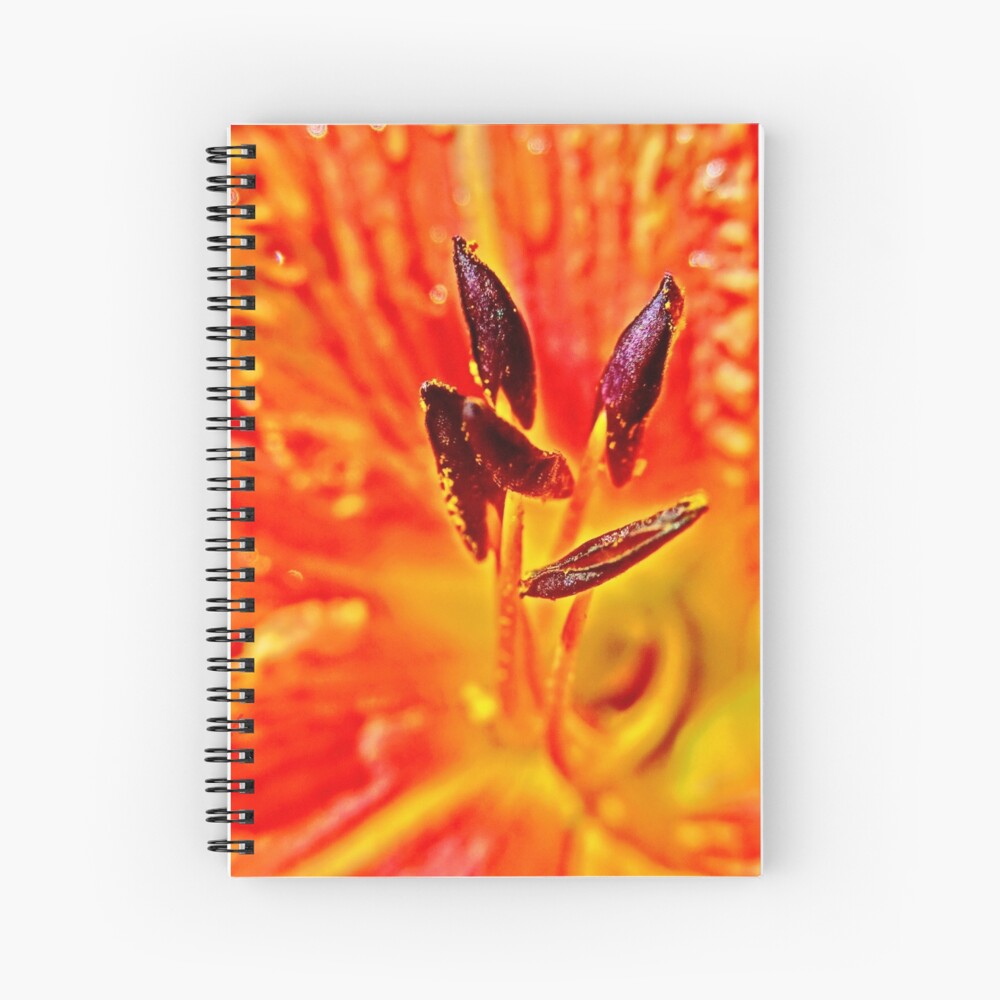Five Stamen Day Lilly Spiral Notebook