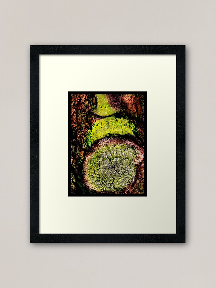Alternate view of The Beard Framed Art Print