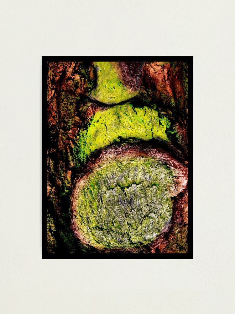 Alternate view of The Beard Photographic Print